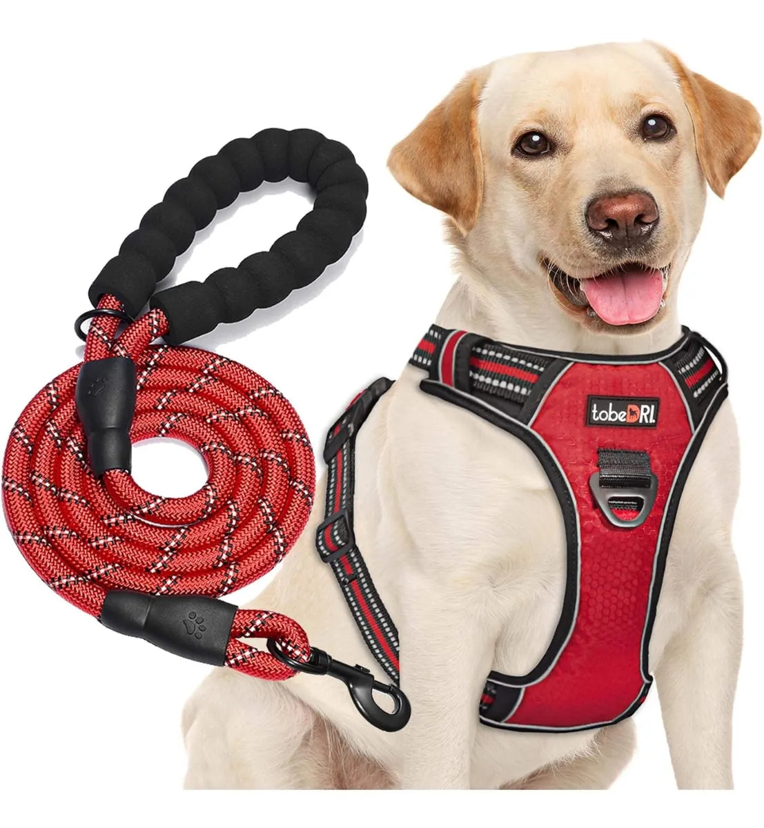 Pechera Anti Tirones Para Perro + Correa