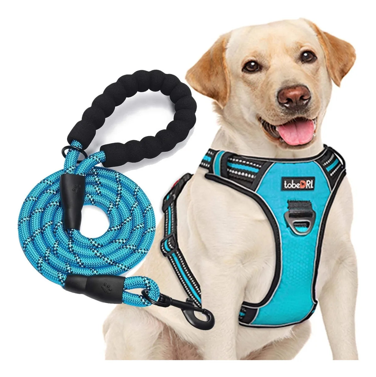 Pechera Anti Tirones Para Perro + Correa