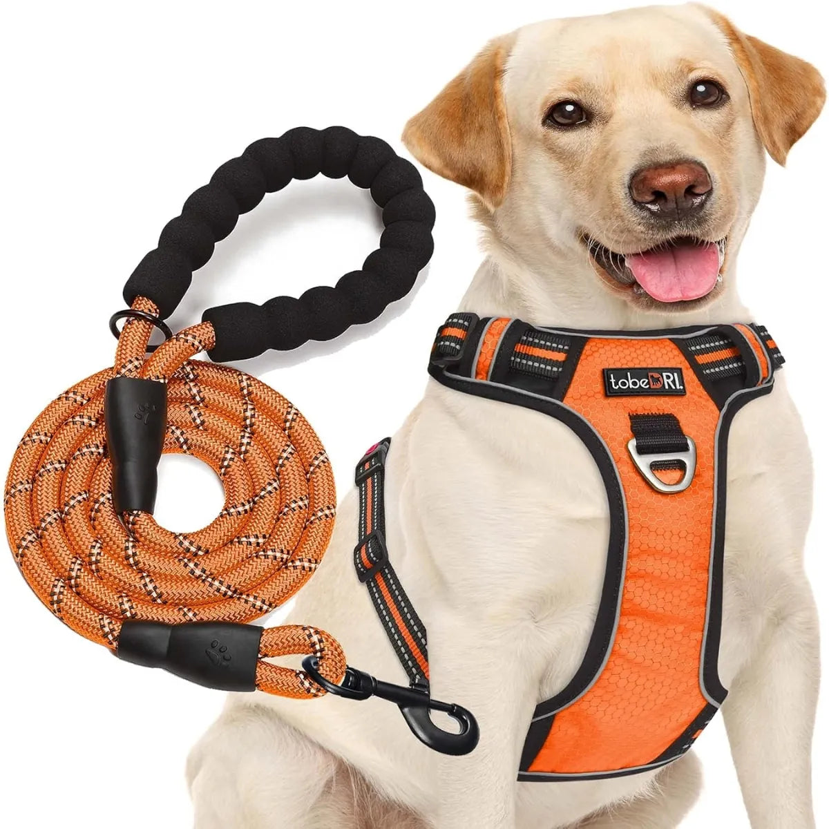 Pechera Anti Tirones Para Perro + Correa