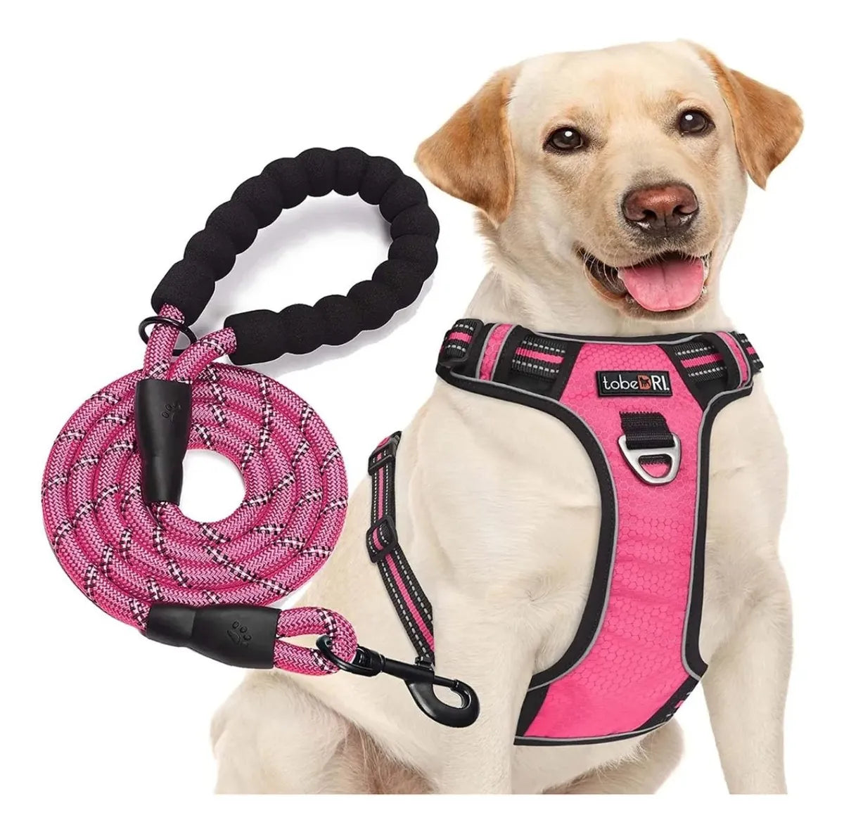Pechera Anti Tirones Para Perro + Correa