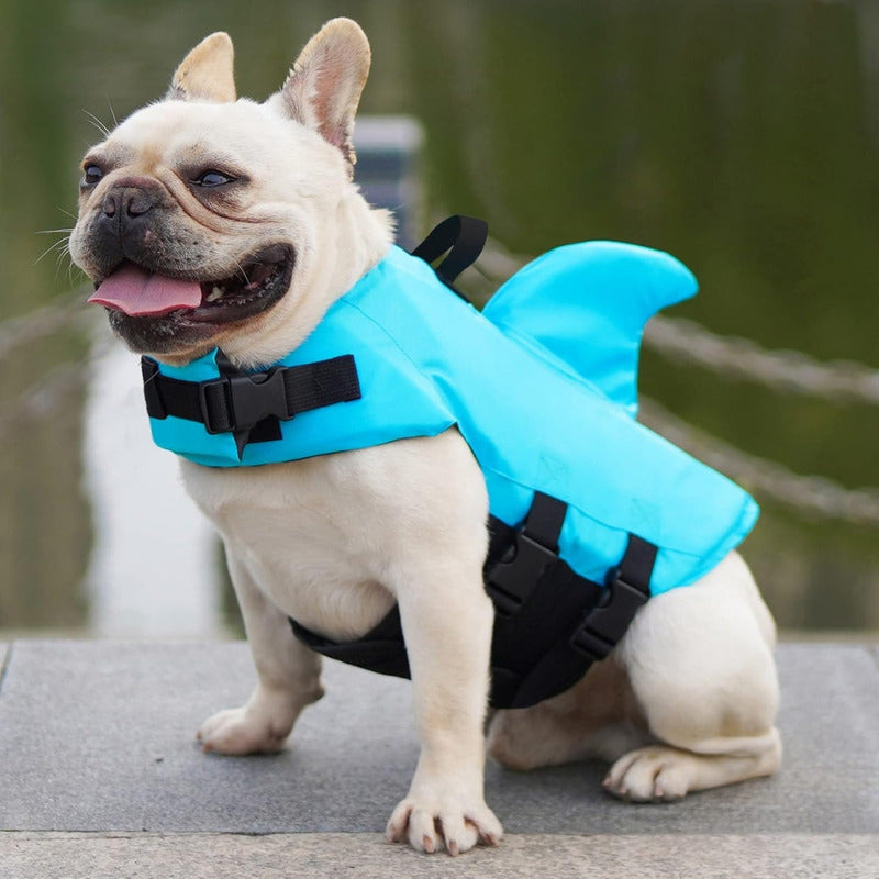 Chaleco De Natación Perros Con Cinturón Ajustable Celeste