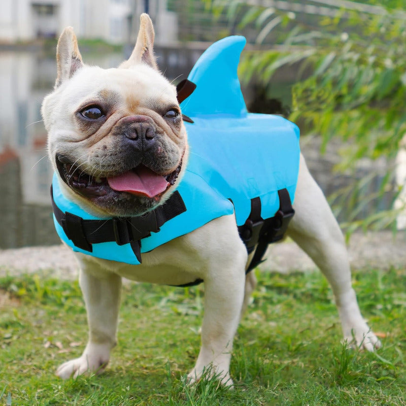 Chaleco De Natación Perros Con Cinturón Ajustable Celeste