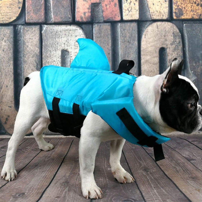 Chaleco De Natación Perros Con Cinturón Ajustable Celeste