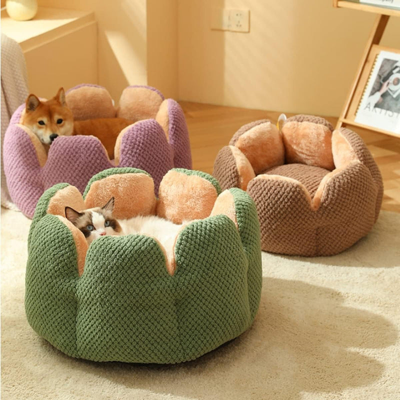 Cama Mascotas Cactus, Cama Perros, Colchón Gatos Cactus