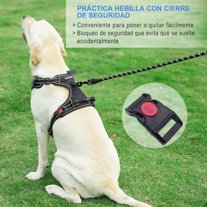 Pechera Anti Tirones Para Perro + Correa