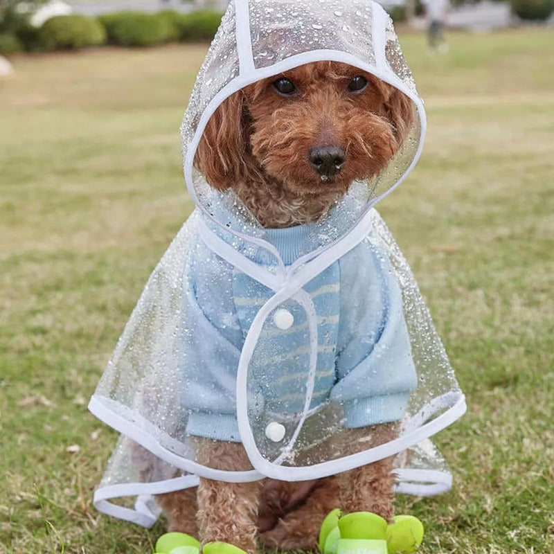 Capa Para Perros Pilot Lluvia Impermeable, Cuidado Mascotas Transparente L