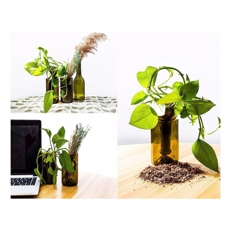 Cortador De Botellas Para Manualidades Kit Arte