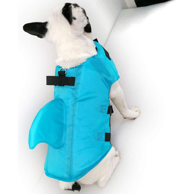 Chaleco De Natación Perros Con Cinturón Ajustable Celeste