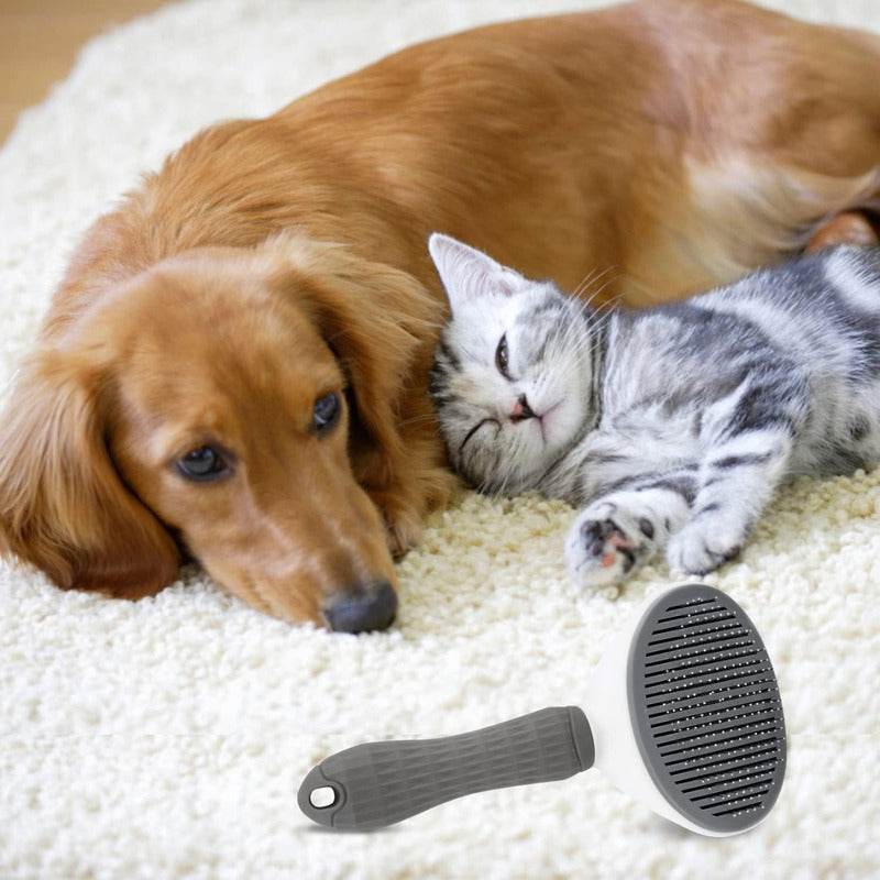 Cepillo Removedor De Pelo Para Mascotas, Gatos Y Perros Negro
