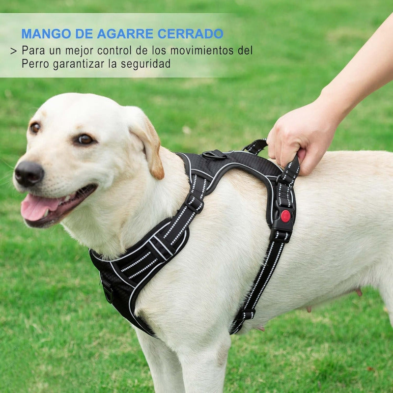 Pechera Anti Tirones Para Perro + Correa