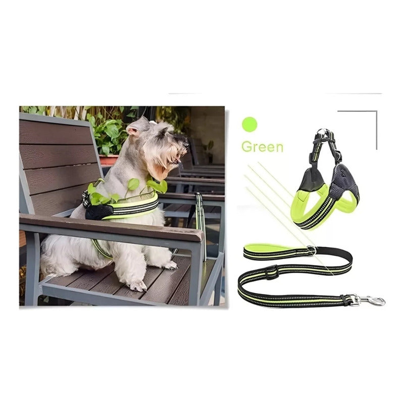 Arnes Anti Tirones Para Mascotas Perro Retráctil + Correa Verde Xl