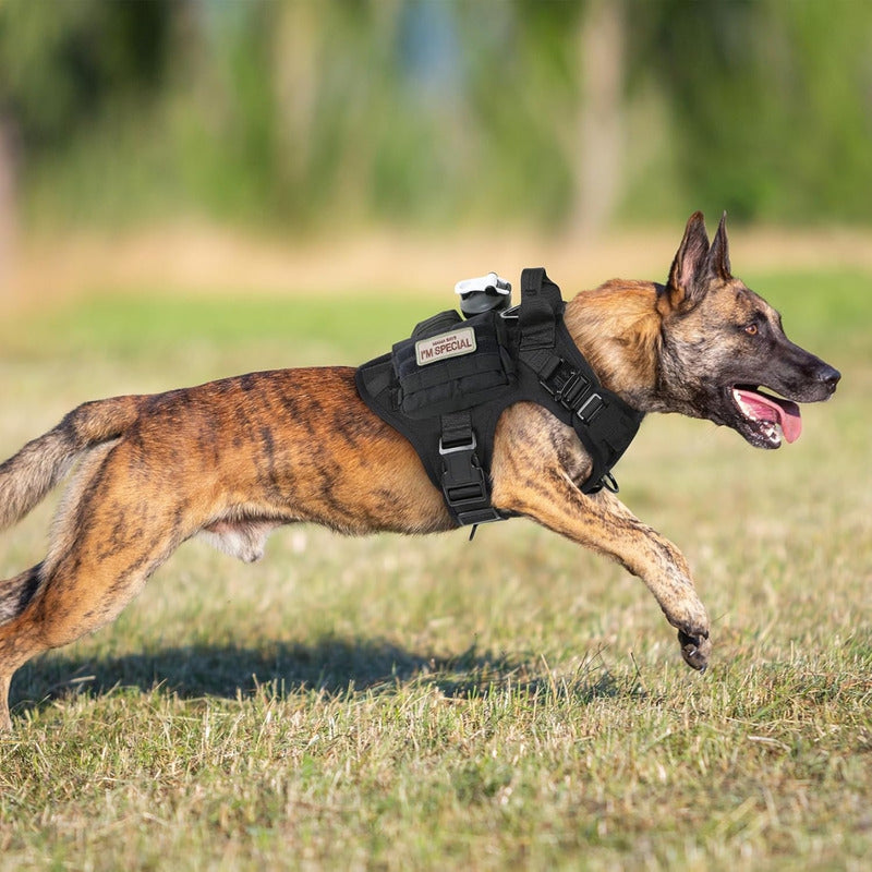 Arnés Táctico Para Perros Negro