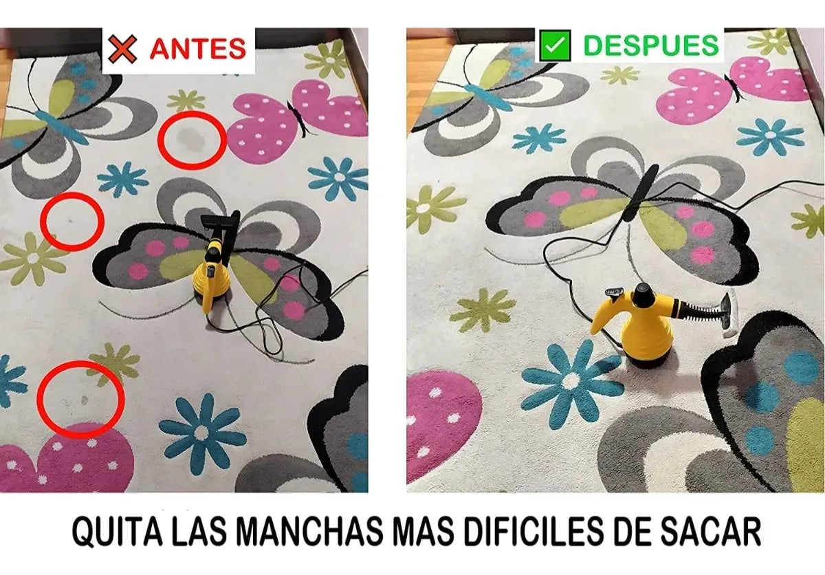 Maquina De Limpieza A Vapor Vaporera Profesional Limpiadora