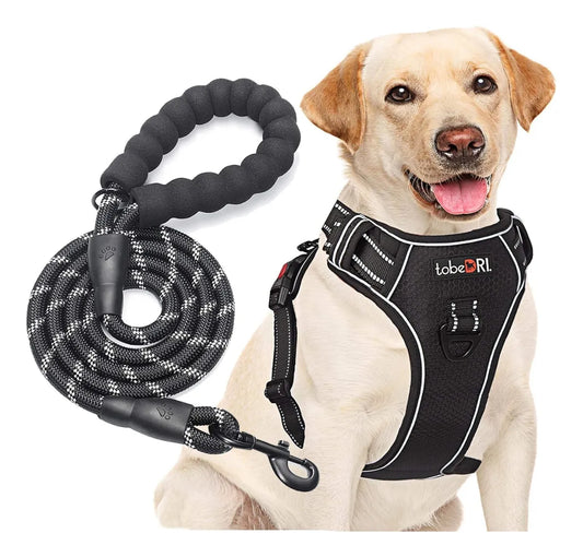 Pechera Anti Tirones Para Perro + Correa