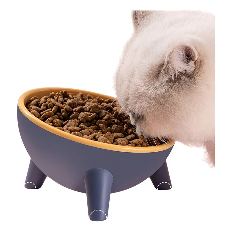 Cuenco Elevado Inclinado Elevado Para Mascotas, Gatos, Perro Azul Marino