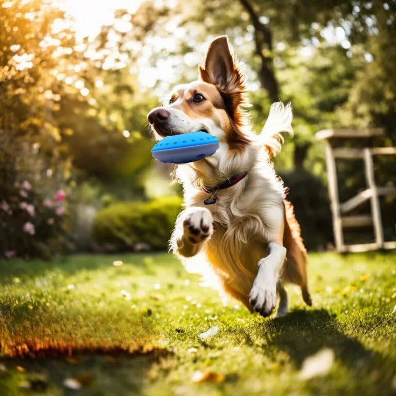 Juguete Interactivo Para Perros, Disco Volador Resistente Azul
