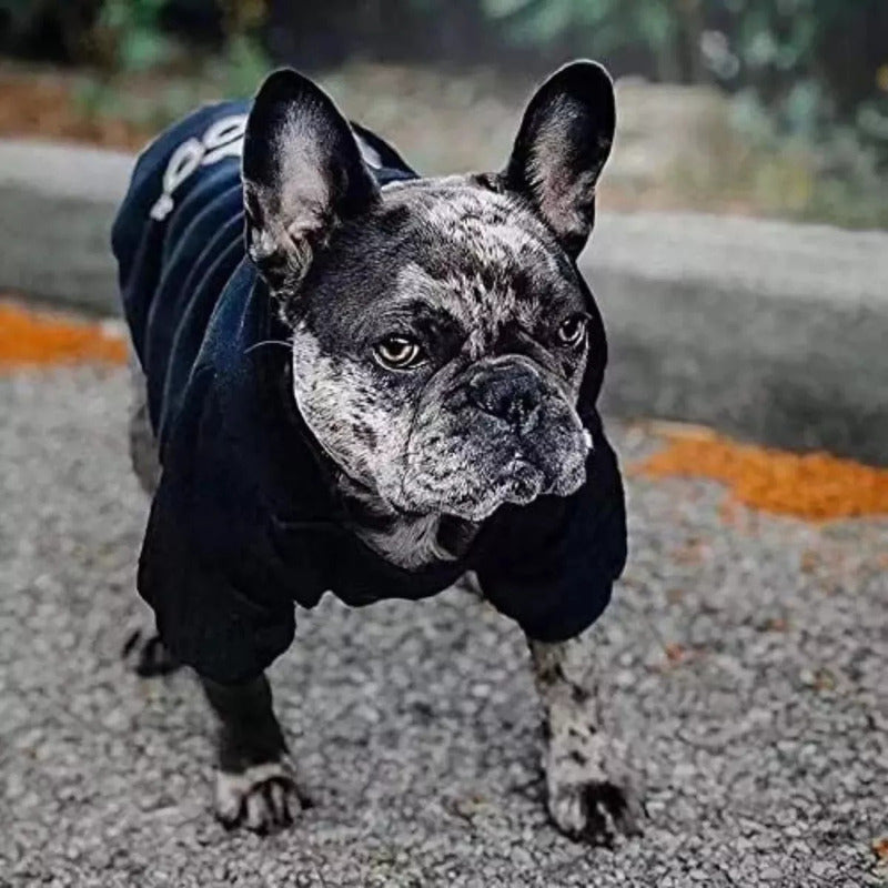 Ropa De Perro Cálida, Abrigada Y Con Capucha Para Paseos Negro - Talle L