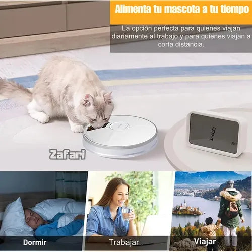Comedero Automático Para Perros Y Gatos, Fácil De Usar Blanco